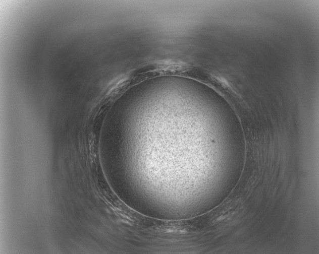 X0000060231399200510311535