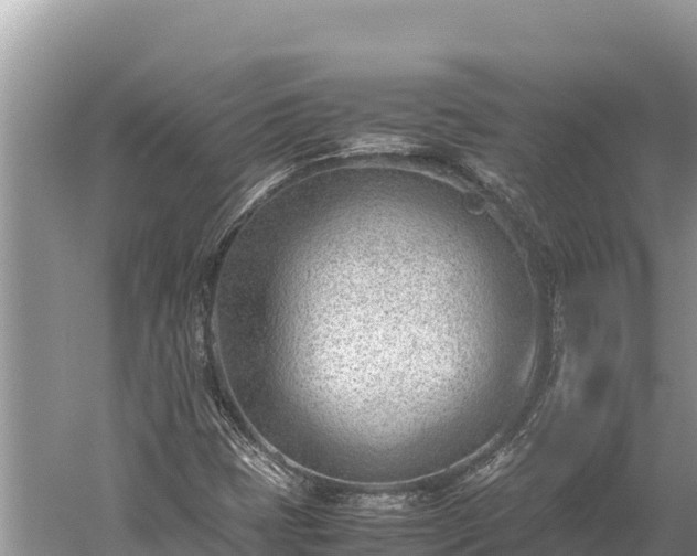 X0000060231401200510311535