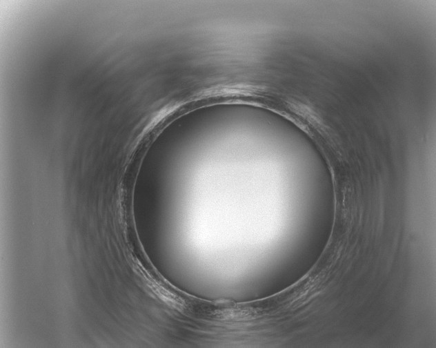 X0000060231404200510311535