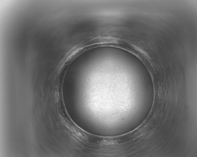 X0000060231407200510311535