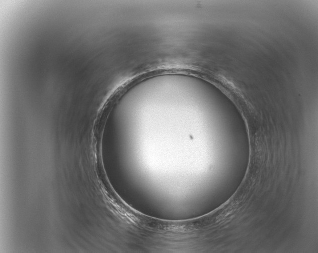 X0000060231408200510311535