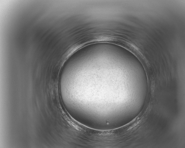 X0000060231417200510311535