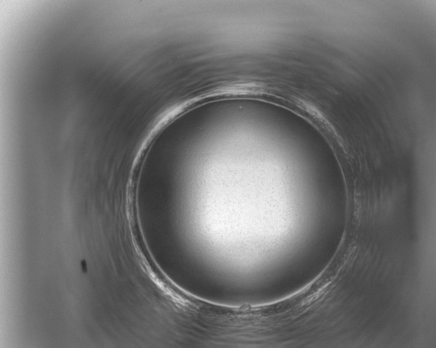 X0000060231421200510311536