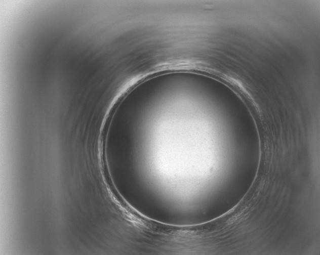 X0000060231424200510311536