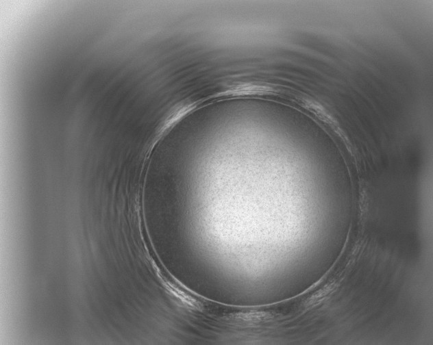 X0000060231425200510311536