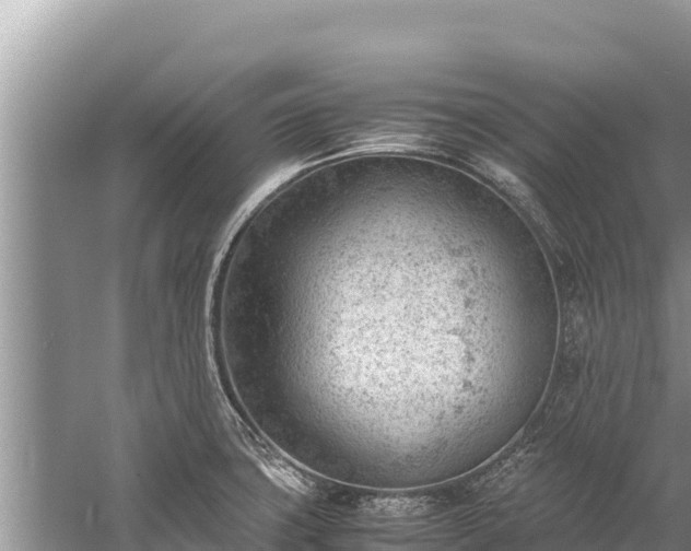 X0000060231427200510311536