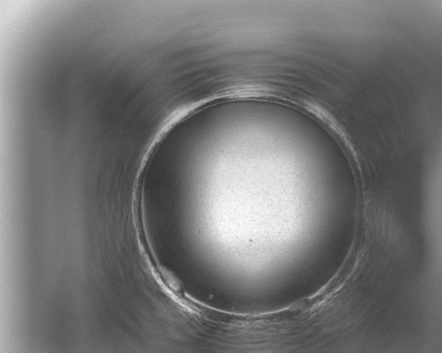 X0000060231429200510311536