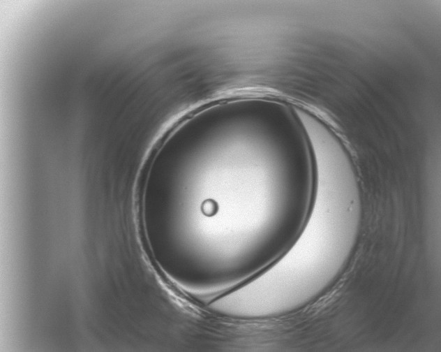 X0000060231430200510311536