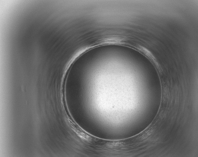 X0000060231435200510311536