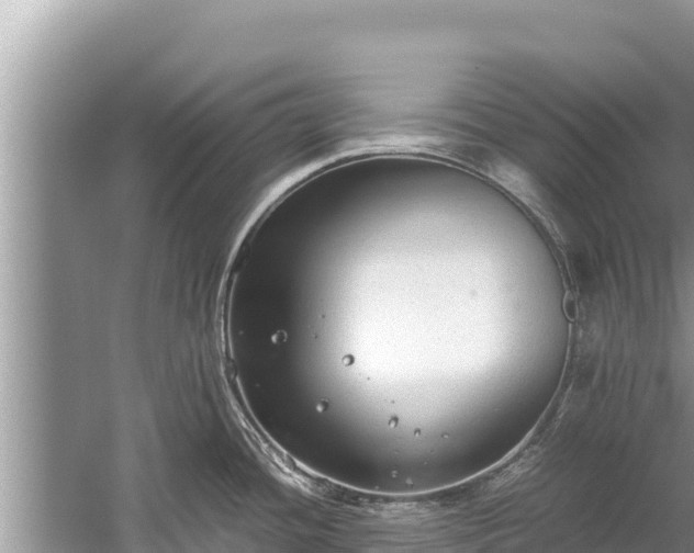 X0000060231436200510311536