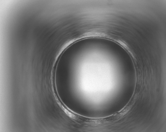 X0000060231438200510311536