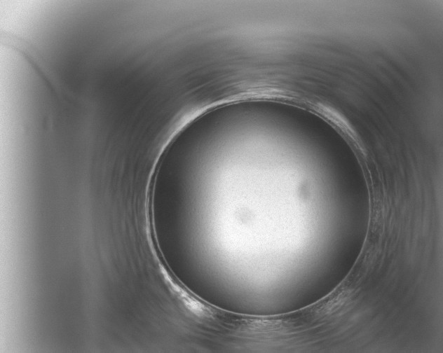 X0000060231439200510311536