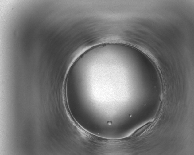 X0000060231440200510311536