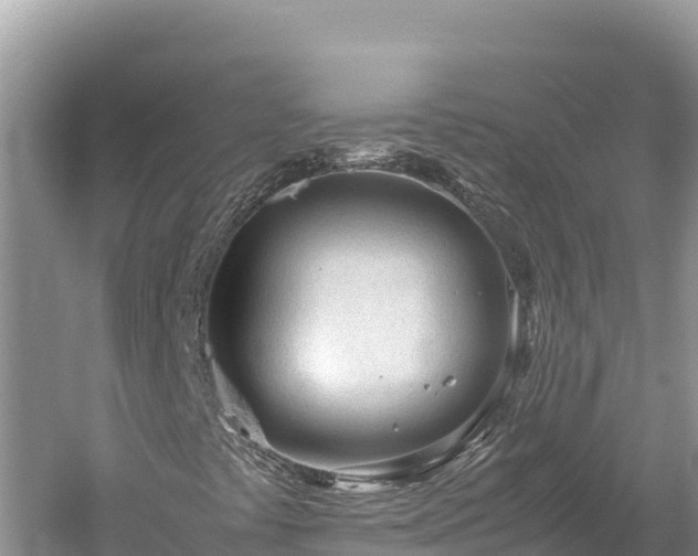 X0000060231441200510311535