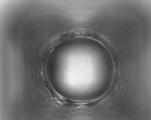 X0000060231445200510311535