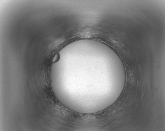 X0000060231446200510311535