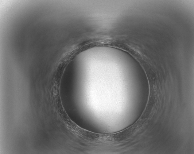 X0000060231447200510311535