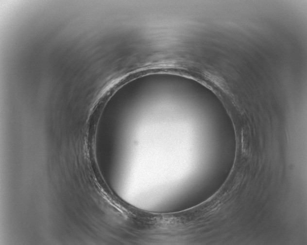 X0000060231452200510311535