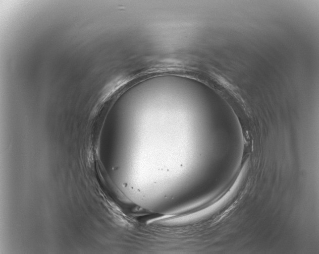 X0000060231453200510311535