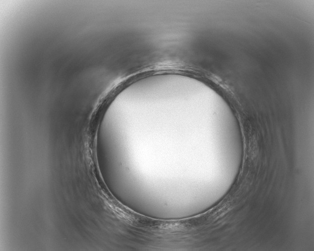 X0000060231454200510311535