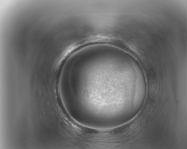 X0000060231455200510311535