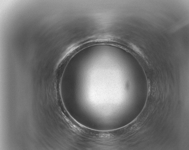 X0000060231456200510311535