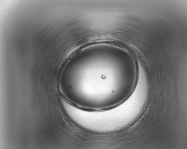 X0000060231457200510311535