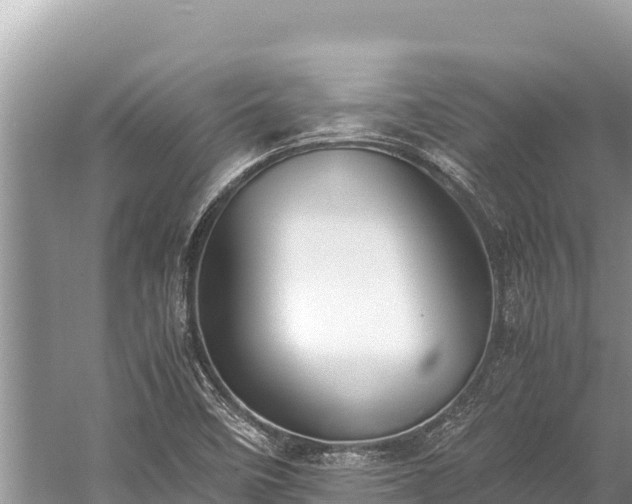 X0000060231458200510311535