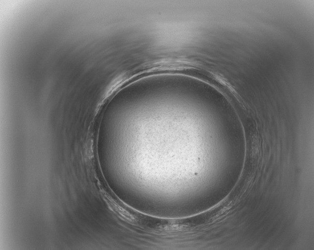 X0000060231459200510311535