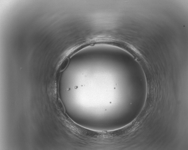 X0000060231461200510311535