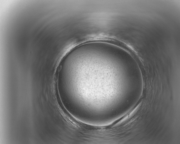 X0000060231463200510311535