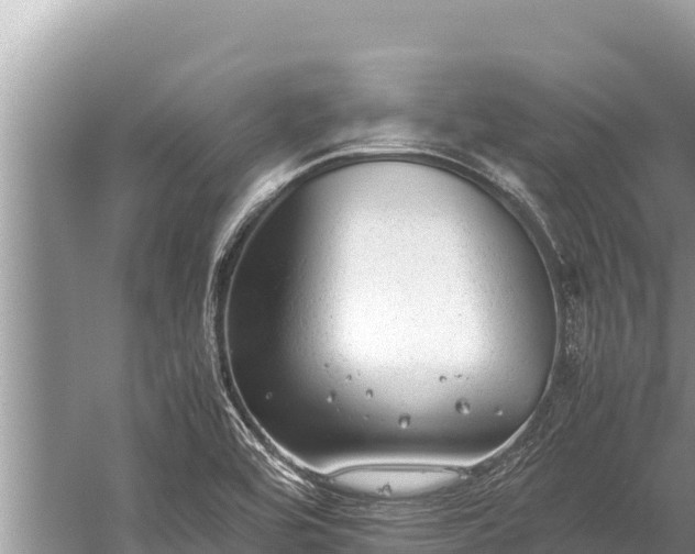 X0000060231464200510311535