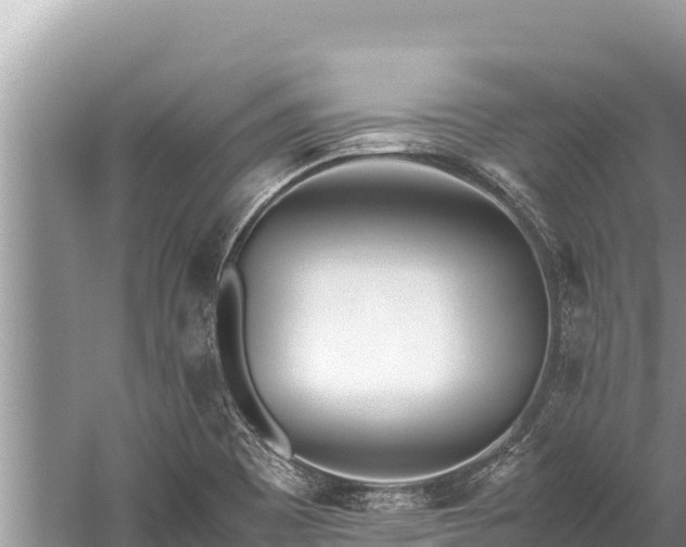 X0000060231465200510311535