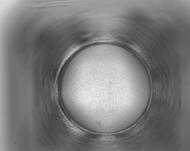 X0000060231466200510311535