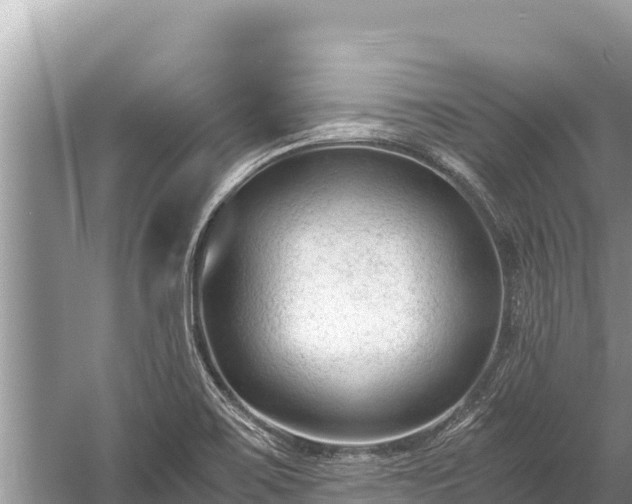 X0000060231467200510311535