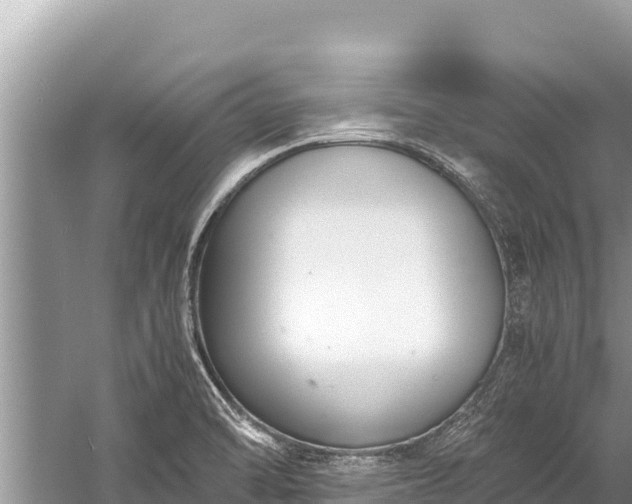 X0000060231470200510311535