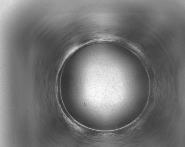 X0000060231471200510311535