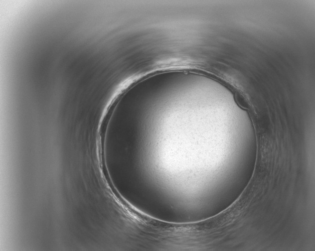 X0000060231472200510311535