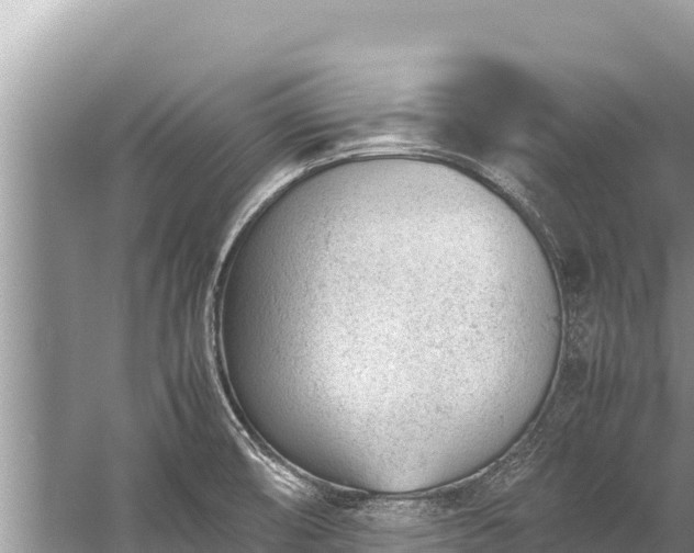 X0000060231474200510311535