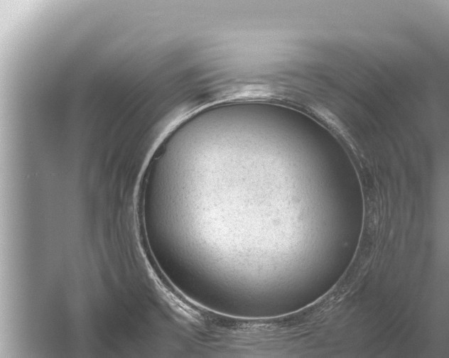 X0000060231475200510311534