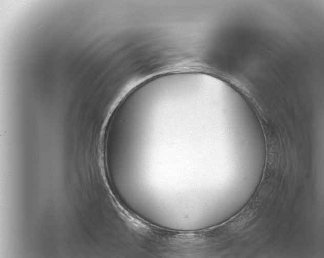 X0000060231478200510311534