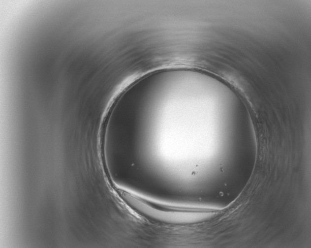 X0000060231480200510311534