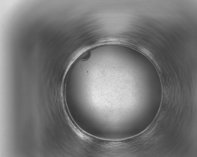 X0000060231482200510311534