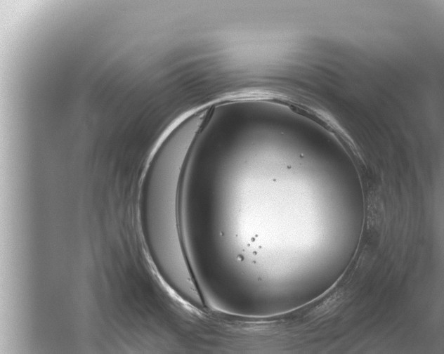 X0000060231484200510311534