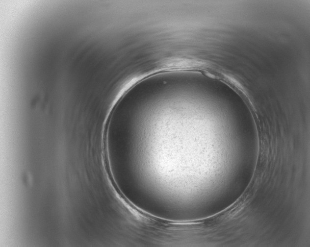 X0000060231487200510311534