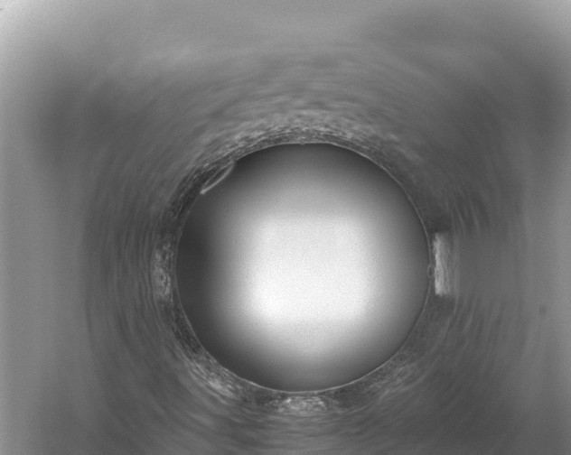 X0000060231491200510311533