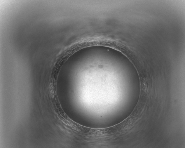 X0000060231493200510311534