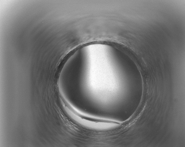 X0000060231497200510311534