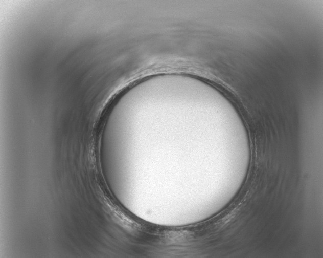 X0000060231498200510311534