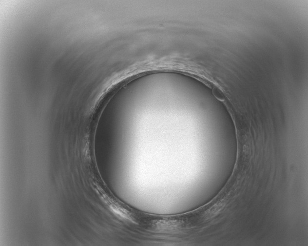 X0000060231499200510311534